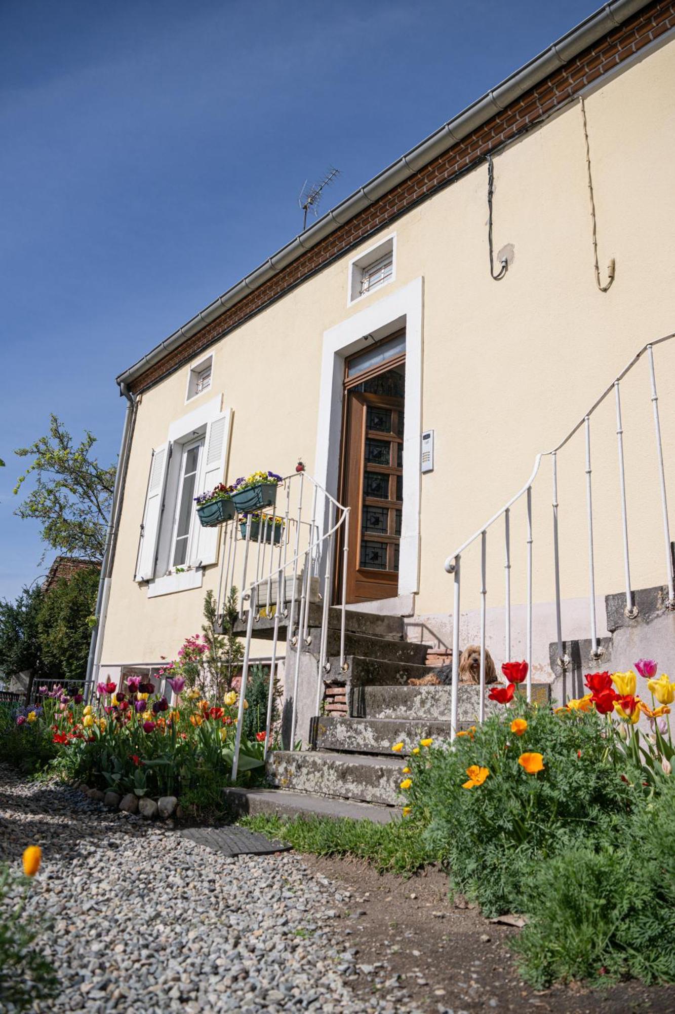 La Belle Rive Du Voyageur Apartamento Bellerive-sur-Allier Exterior foto
